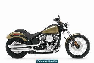 哈雷夜行者爆料视频播放,揭秘视频背后的惊人真相